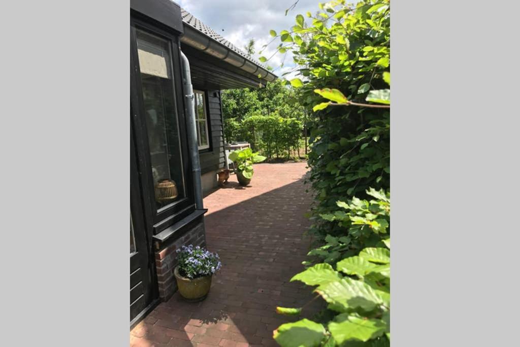 Uniek Houten Nabij Bos En Plassen Hollandsche Rading