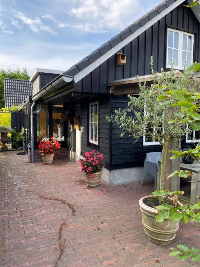 Uniek Houten Nabij Bos En Plassen